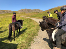 Iceland-East and South-Icelandic Farmlands